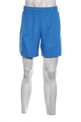 Herren Shorts Crane, Größe 3XL, Farbe Blau, Preis 14,83 €