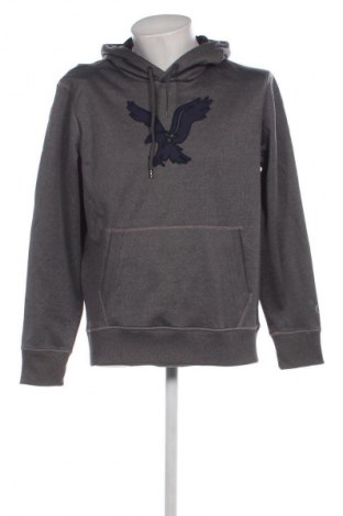 Herren Sweatshirt AE, Größe L, Farbe Grau, Preis € 13,99