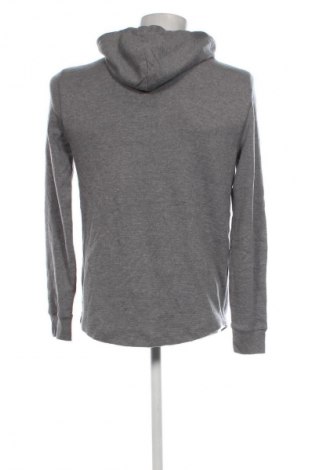 Herren Sweatshirt American Eagle, Größe S, Farbe Grau, Preis € 28,99