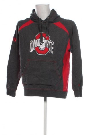 Herren Sweatshirt Colosseum, Größe L, Farbe Grau, Preis € 12,99