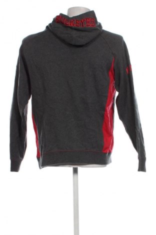 Herren Sweatshirt Colosseum, Größe L, Farbe Grau, Preis € 13,99