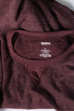 Herren Rollkragen Sonoma, Größe L, Farbe Lila, Preis € 6,99