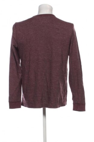 Herren Rollkragen Sonoma, Größe L, Farbe Lila, Preis € 6,99