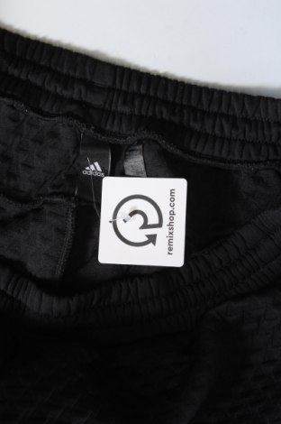 Herren Sporthose Adidas, Größe XL, Farbe Schwarz, Preis € 33,99