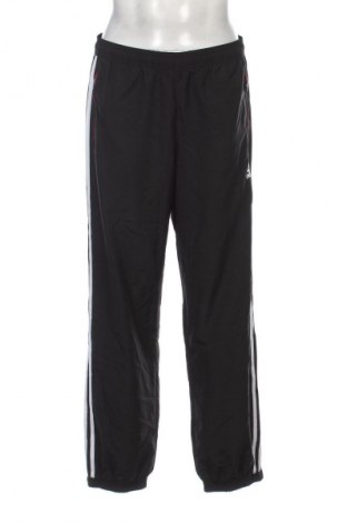 Herren Sporthose Adidas, Größe L, Farbe Schwarz, Preis € 30,99