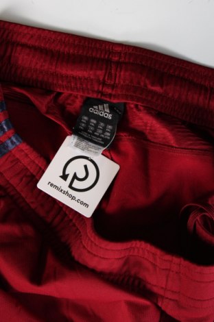 Herren Sporthose Adidas, Größe XXL, Farbe Rot, Preis € 30,99