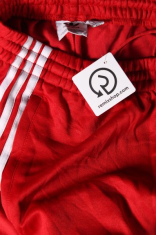 Herren Sporthose Adidas Originals, Größe M, Farbe Rot, Preis € 28,99