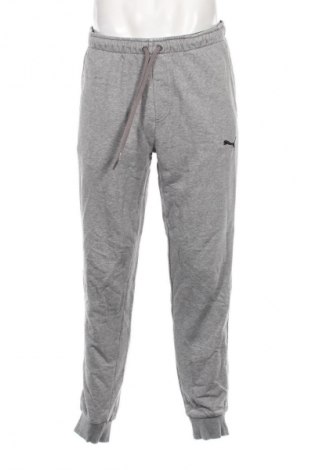 Herren Sporthose PUMA, Größe L, Farbe Grau, Preis 30,99 €