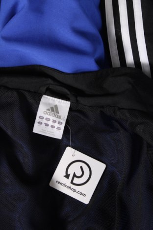 Ανδρική αθλητική ζακέτα Adidas, Μέγεθος M, Χρώμα Μπλέ, Τιμή 29,99 €