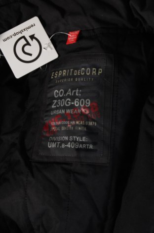 Herrenjacke Esprit de Corp, Größe L, Farbe Grau, Preis € 43,49