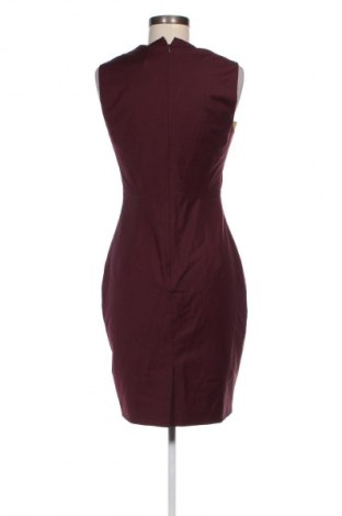 Kleid Ted Baker, Größe S, Farbe Rot, Preis € 67,49