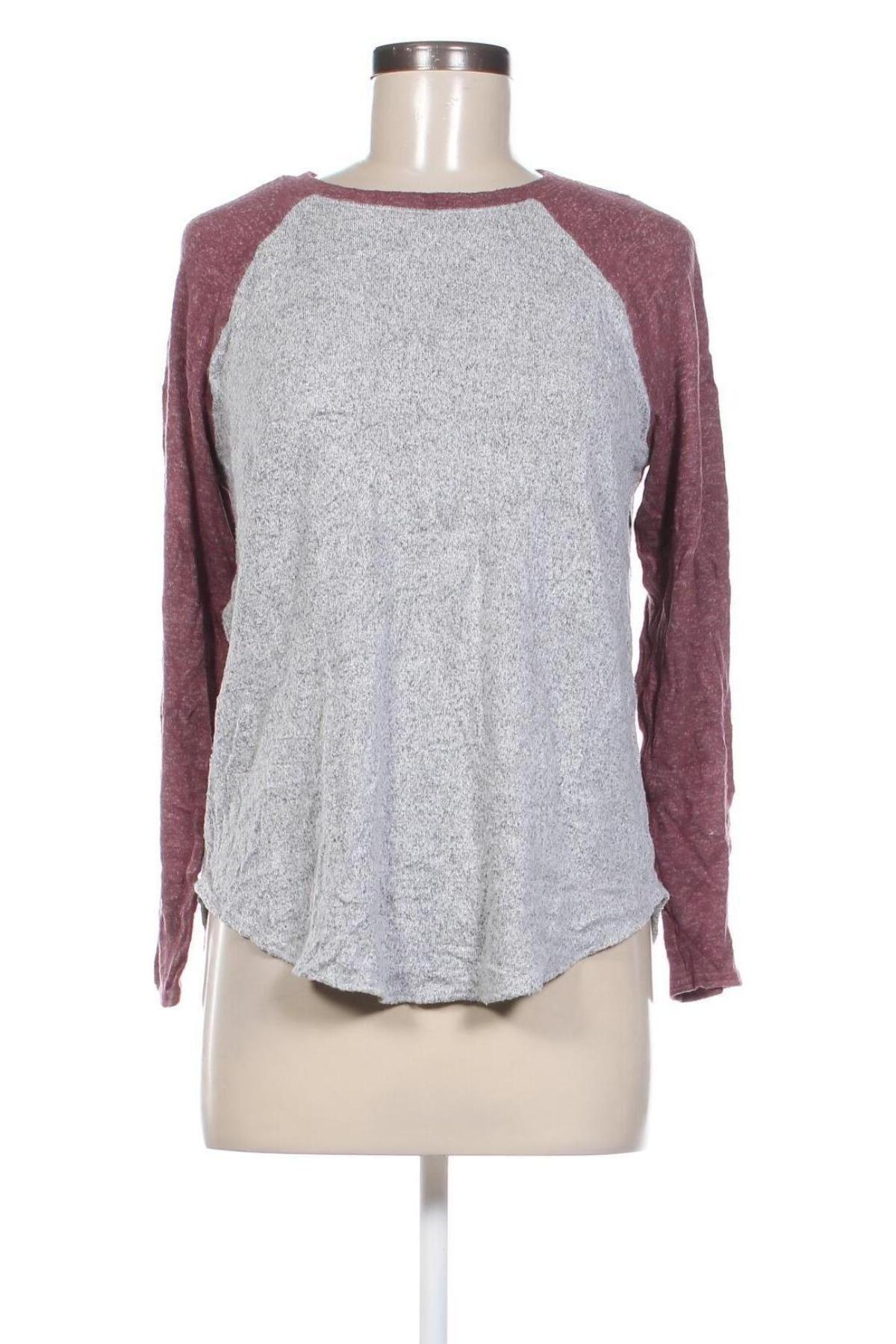 Damen Shirt American Eagle, Größe S, Farbe Grau, Preis € 23,99