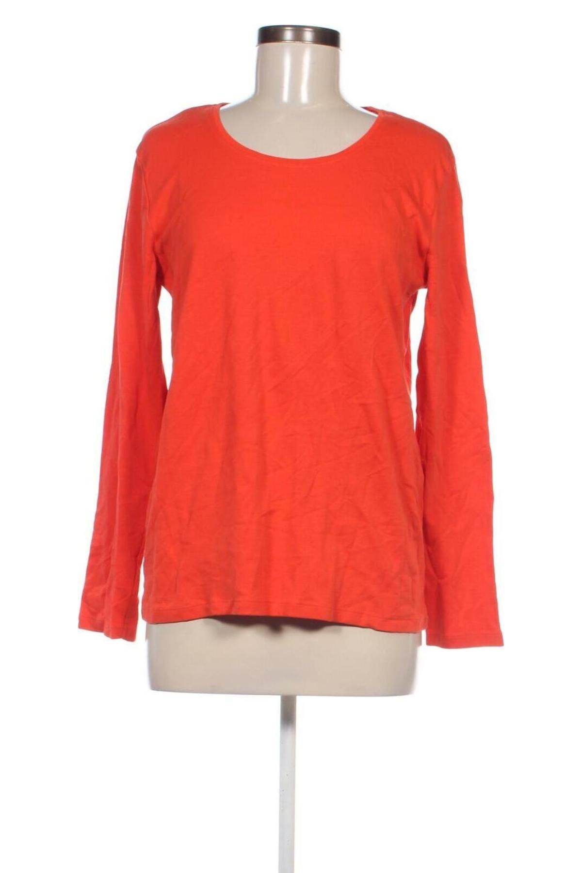 Damen Shirt Cecil, Größe XL, Farbe Orange, Preis € 23,99