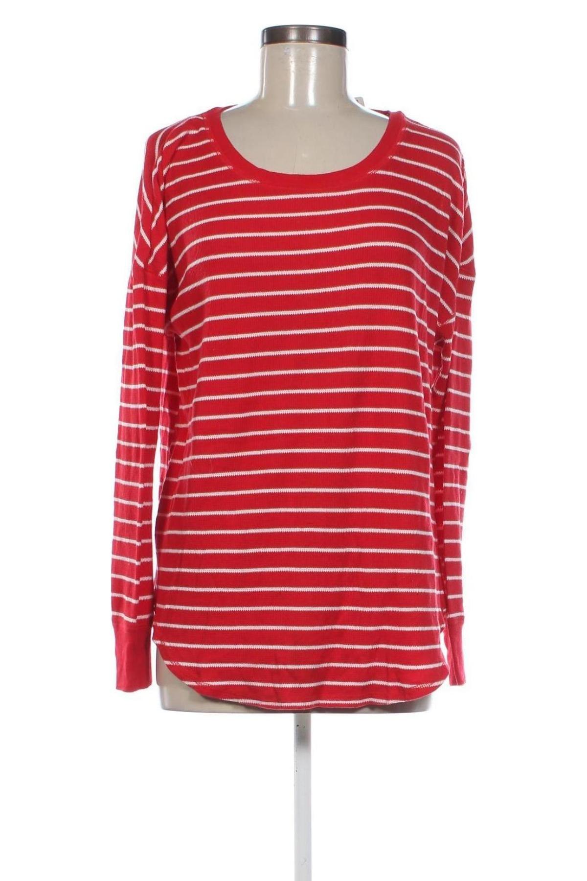 Damen Shirt Gilligan & Omalley, Größe XL, Farbe Mehrfarbig, Preis € 13,49