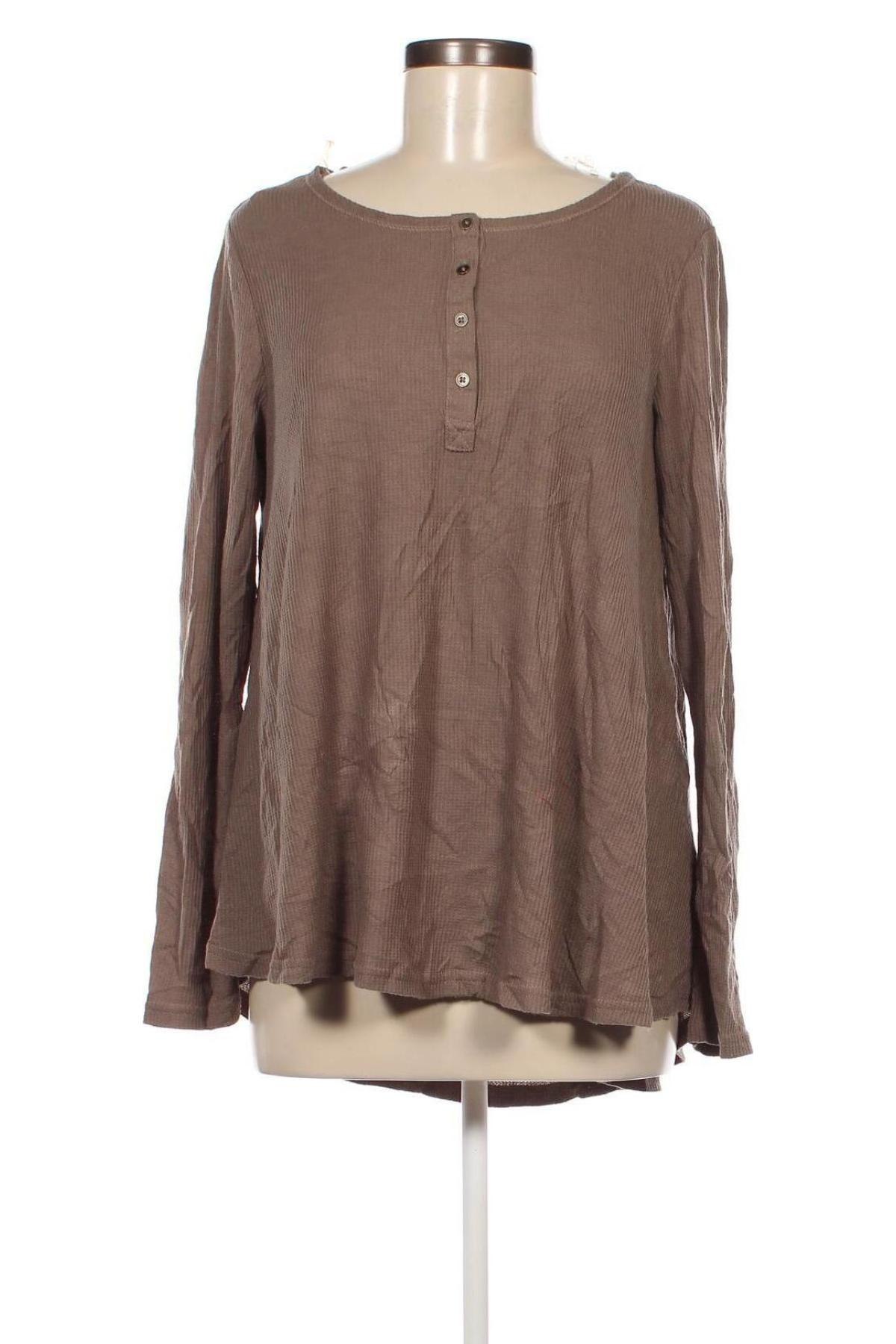 Damen Shirt Umgee, Größe S, Farbe Braun, Preis 23,99 €