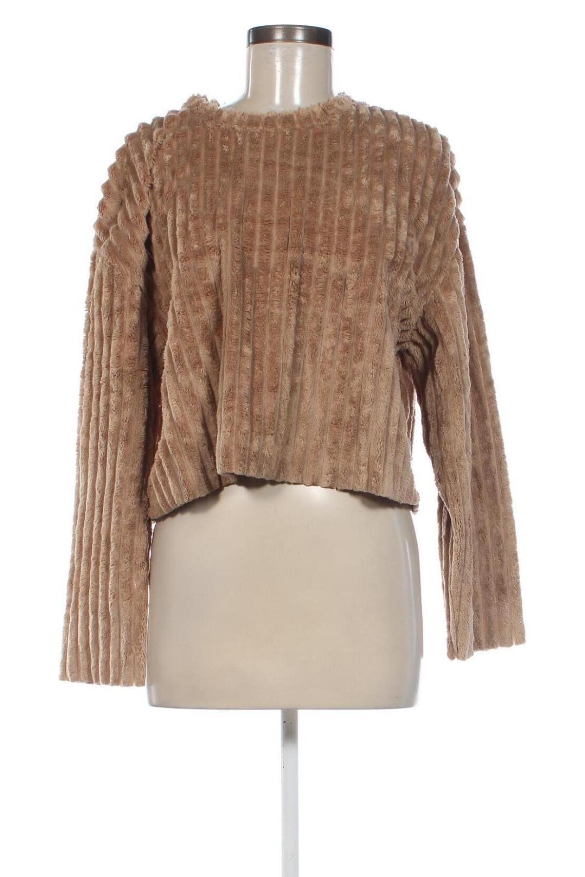 Damen Shirt Zara Trafaluc, Größe S, Farbe Beige, Preis € 7,99