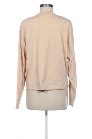 Damen Shirt About You, Größe L, Farbe Beige, Preis 6,99 €