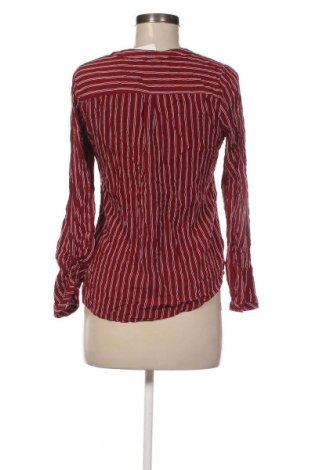 Bluză de femei Chicoree, Mărime M, Culoare Multicolor, Preț 22,99 Lei