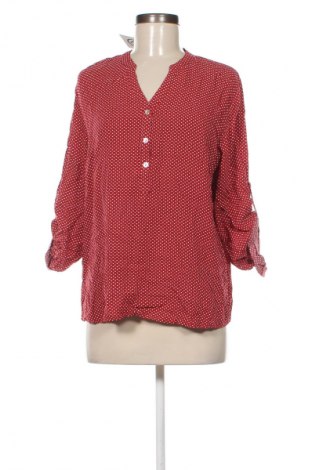 Damen Shirt Colloseum, Größe L, Farbe Mehrfarbig, Preis 2,99 €