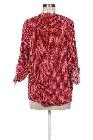 Damen Shirt Colloseum, Größe L, Farbe Mehrfarbig, Preis 2,99 €