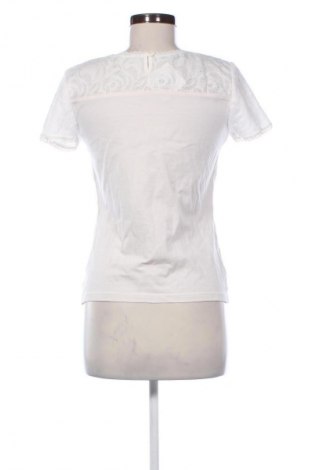 Dámska blúza Country Line, Veľkosť M, Farba Viacfarebná, Cena  14,00 €