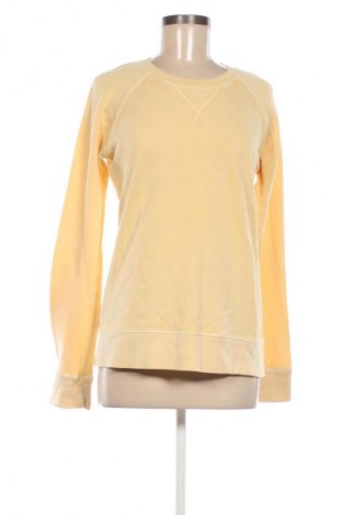 Damen Shirt Crew Clothing Co., Größe L, Farbe Gelb, Preis 16,99 €