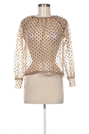 Damen Shirt DAZY, Größe S, Farbe Mehrfarbig, Preis € 7,99