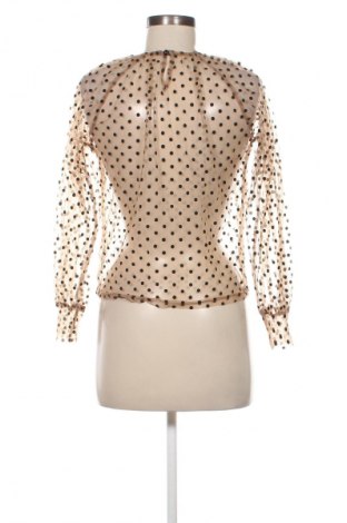 Damen Shirt DAZY, Größe S, Farbe Mehrfarbig, Preis € 7,99