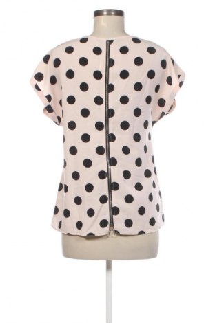 Damen Shirt Dorothy Perkins, Größe S, Farbe Mehrfarbig, Preis € 9,99
