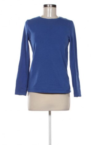 Damen Shirt Franco Callegari, Größe L, Farbe Blau, Preis 9,72 €