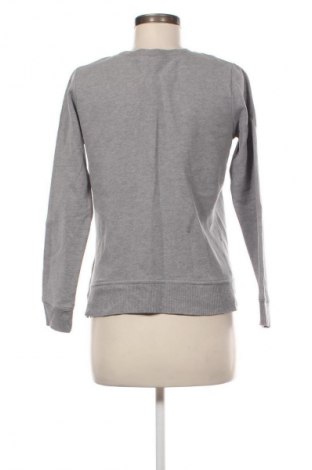 Damen Shirt Gap, Größe S, Farbe Mehrfarbig, Preis 17,00 €