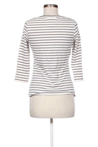 Γυναικεία μπλούζα Gerry Weber, Μέγεθος M, Χρώμα Πολύχρωμο, Τιμή 16,99 €