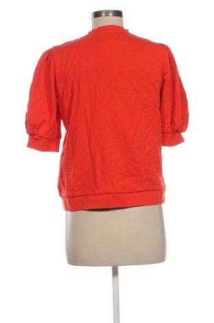 Γυναικεία μπλούζα Holly & Whyte By Lindex, Μέγεθος L, Χρώμα Πορτοκαλί, Τιμή 9,72 €