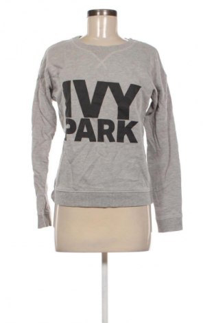 Damen Shirt Ivy Park, Größe XS, Farbe Grau, Preis 8,99 €