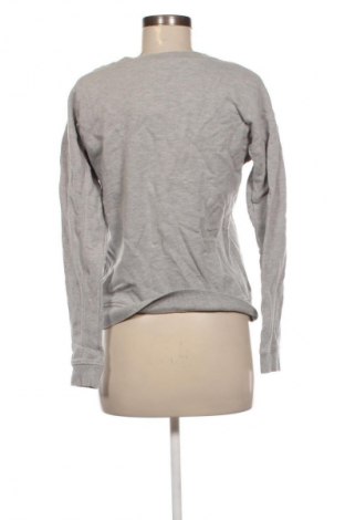 Damen Shirt Ivy Park, Größe XS, Farbe Grau, Preis 8,99 €
