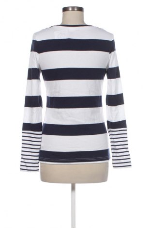 Γυναικεία μπλούζα Kangaroos, Μέγεθος M, Χρώμα Πολύχρωμο, Τιμή 47,99 €