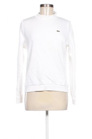 Damen Shirt Lacoste, Größe M, Farbe Weiß, Preis 38,27 €