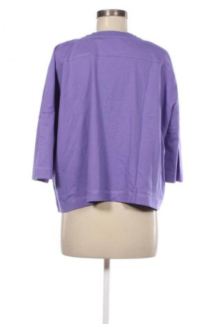 Dámska blúza Massimo Dutti, Veľkosť L, Farba Fialová, Cena  20,97 €