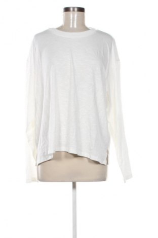 Damen Shirt Monki, Größe XL, Farbe Weiß, Preis 6,68 €
