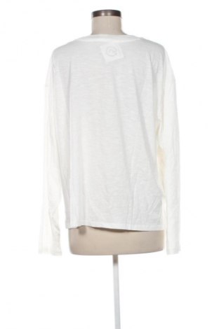 Damen Shirt Monki, Größe XL, Farbe Weiß, Preis 6,68 €