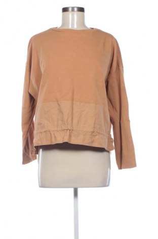 Damen Shirt Pepper, Größe M, Farbe Orange, Preis 22,04 €