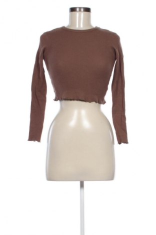 Damen Shirt Pull&Bear, Größe XS, Farbe Braun, Preis € 6,99
