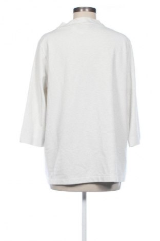 Γυναικεία μπλούζα S.Oliver, Μέγεθος XL, Χρώμα Πολύχρωμο, Τιμή 46,65 €