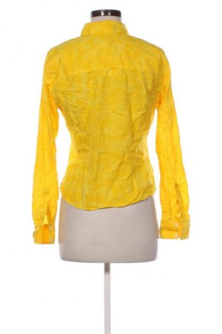 Damenbluse Bandolino, Größe S, Farbe Gelb, Preis € 10,99