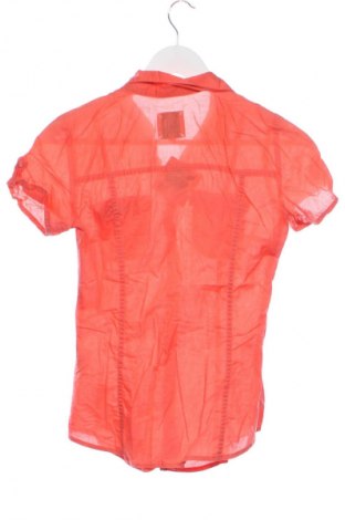 Damenbluse Clockhouse, Größe XS, Farbe Rot, Preis 7,99 €