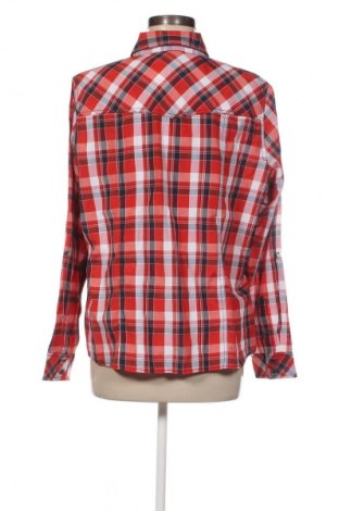 Damska koszula Collection L, Rozmiar XL, Kolor Kolorowy, Cena 34,99 zł