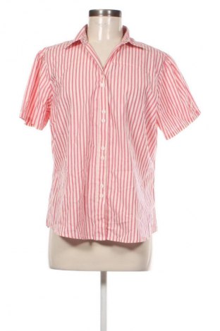 Damenbluse Cotton Traders, Größe XL, Farbe Mehrfarbig, Preis € 17,36