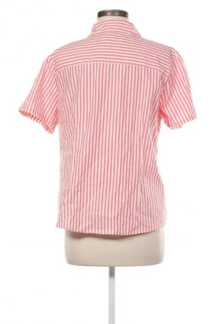 Damenbluse Cotton Traders, Größe XL, Farbe Mehrfarbig, Preis € 17,36