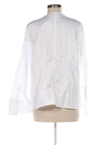 Damenbluse Eterna, Größe XL, Farbe Weiß, Preis 18,99 €