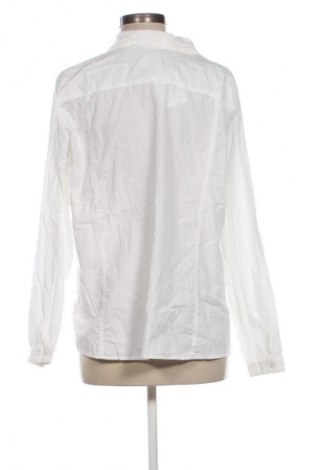 Damenbluse Gina Benotti, Größe XXL, Farbe Ecru, Preis 21,99 €